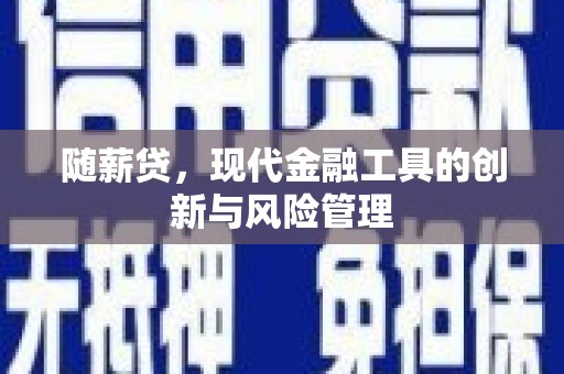 图木舒克随薪贷，现代金融工具的创新与风险管理