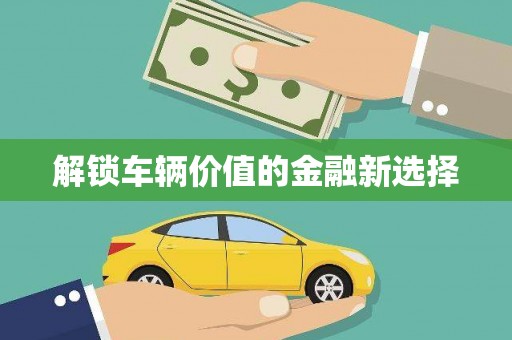 苏尼特右旗解锁车辆价值的金融新选择