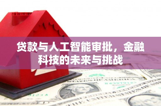 青州贷款与人工智能审批，金融科技的未来与挑战